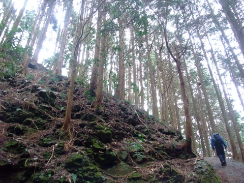 a0043982_16525394.jpg
