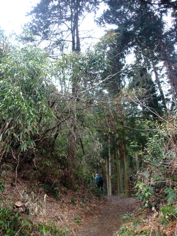 a0043982_16543816.jpg