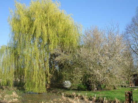 a0247585_4493215.jpg