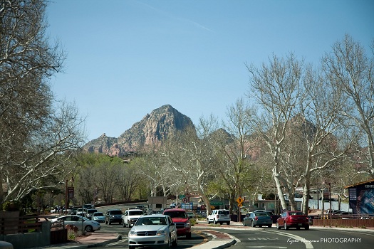 e0148185_13393172.jpg