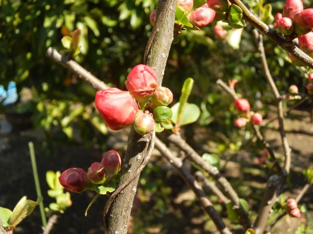 f0130894_21552462.jpg