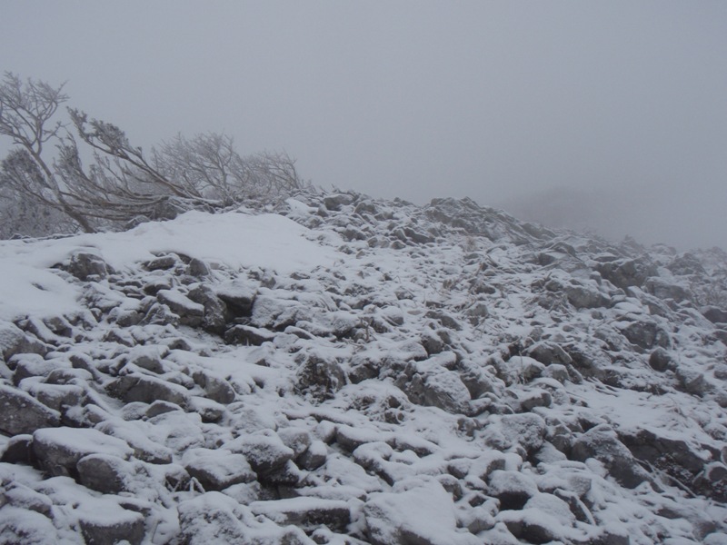 b0039898_8154749.jpg