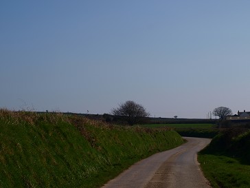 b0110999_4373269.jpg