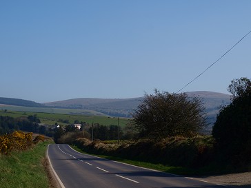 b0110999_4374372.jpg