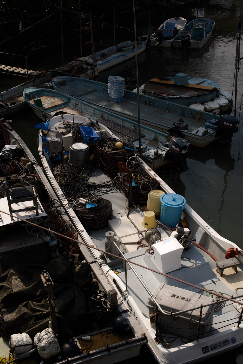 d0200900_1551026.jpg
