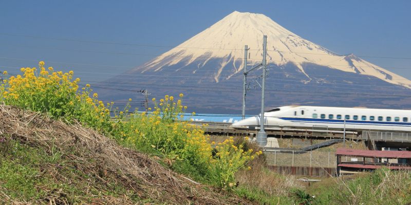 a0188405_14382148.jpg