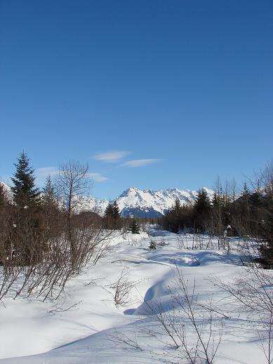 d0251307_78137.jpg