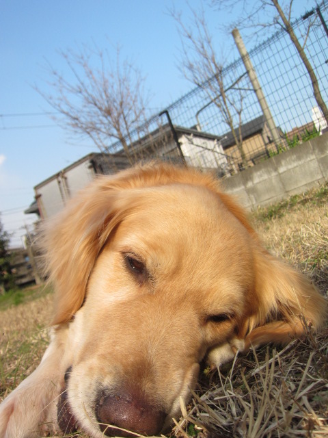 d0150309_20445027.jpg