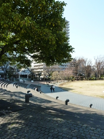 d0113613_16482562.jpg