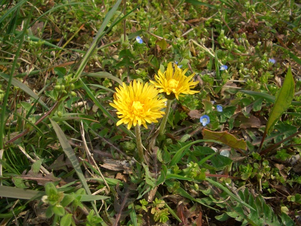 e0033713_21491321.jpg