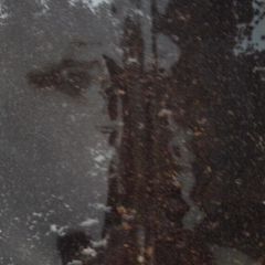 c0036617_1925212.jpg