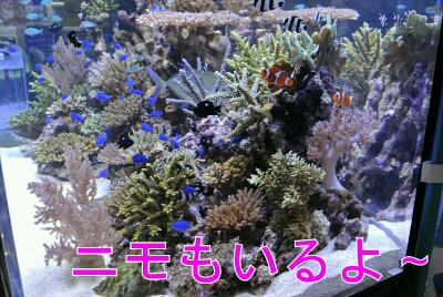 b0236618_14415244.jpg