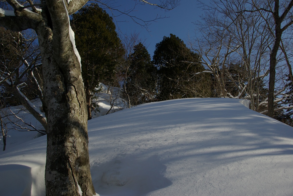 b0062024_19354087.jpg