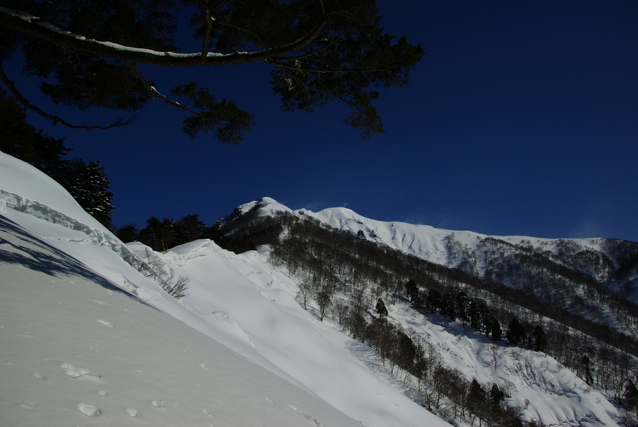 b0062024_19385897.jpg