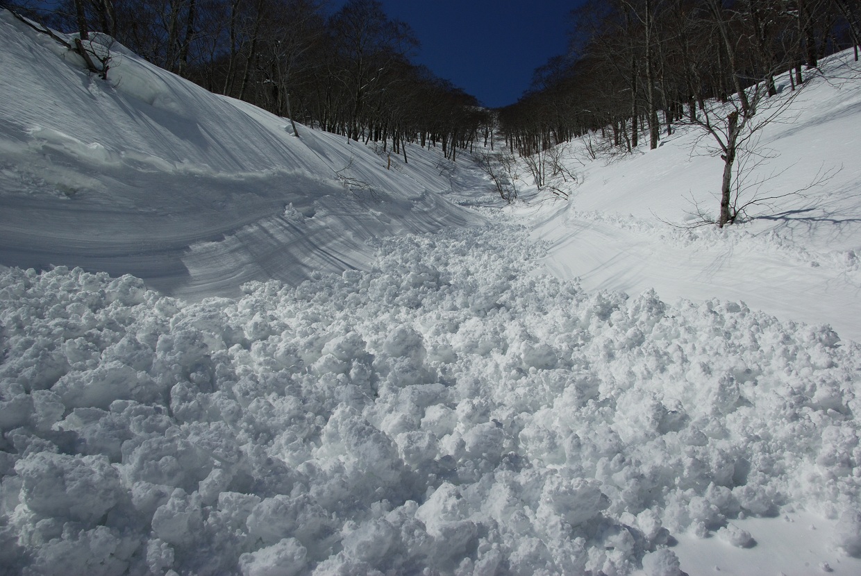 b0062024_19463047.jpg