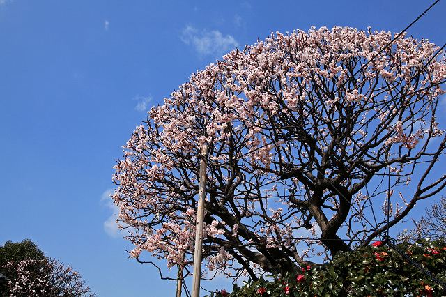 a0242438_21421552.jpg