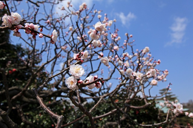 a0242438_21424048.jpg
