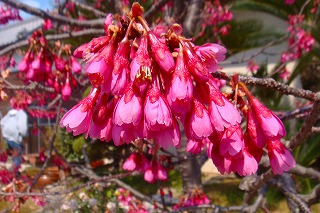 b0200747_2025424.jpg