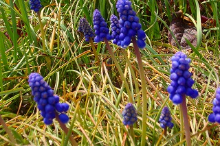 b0200747_20262926.jpg
