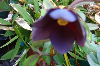 b0200747_20281361.jpg
