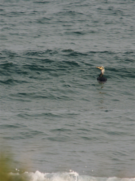 f0214649_7535118.jpg