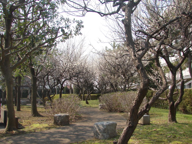 b0061261_22214861.jpg