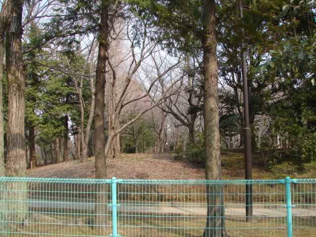 b0061261_2394310.jpg