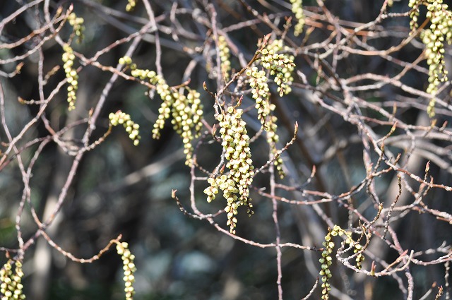 b0104861_21252717.jpg