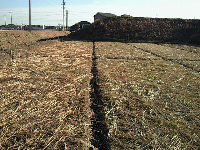 b0139862_22193364.jpg