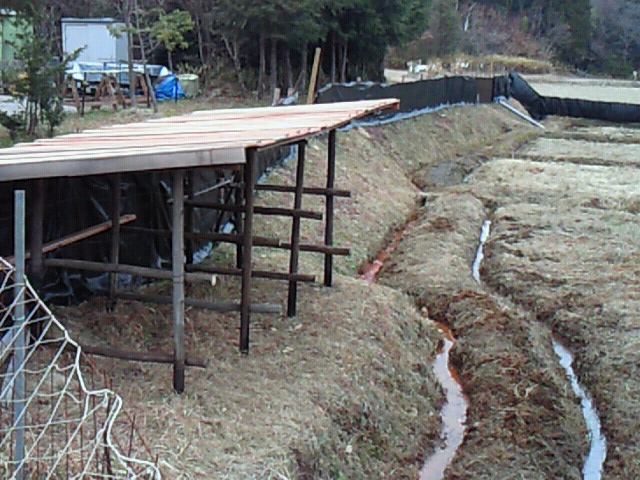 b0139862_2241663.jpg