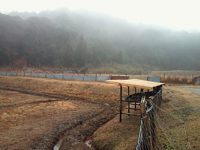 b0139862_2323495.jpg