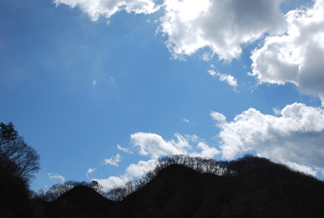 b0174068_0541074.jpg