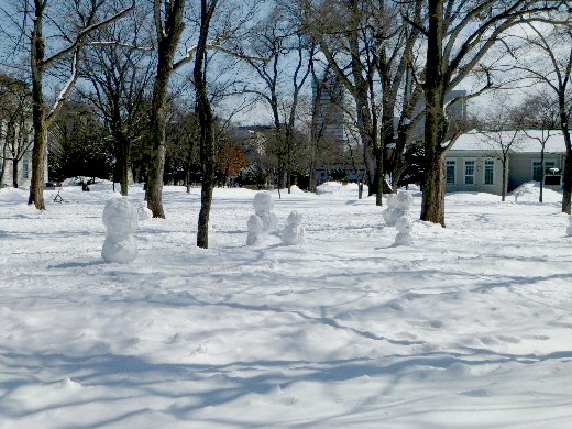 d0084473_21393100.jpg