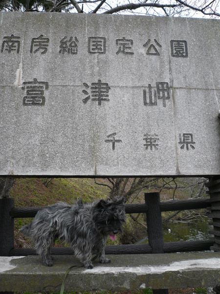 a0089877_20382980.jpg