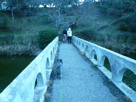 a0089877_20482727.jpg