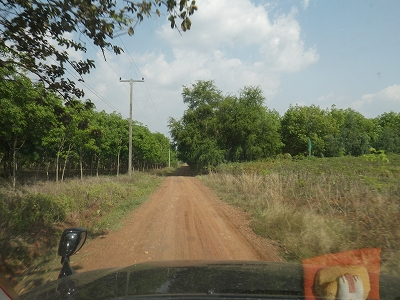 d0144077_0332919.jpg