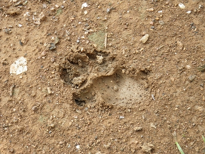 d0144077_0413430.jpg