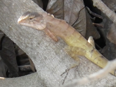d0144077_041853.jpg
