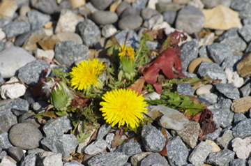 f0054677_8182548.jpg