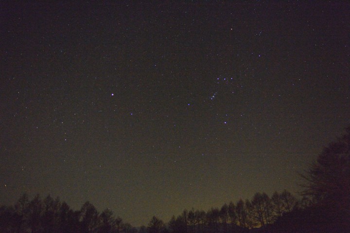 b0102780_745310.jpg