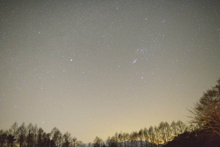 b0102780_775569.jpg
