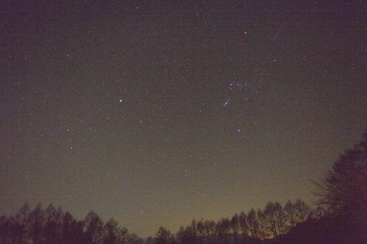 b0102780_785322.jpg