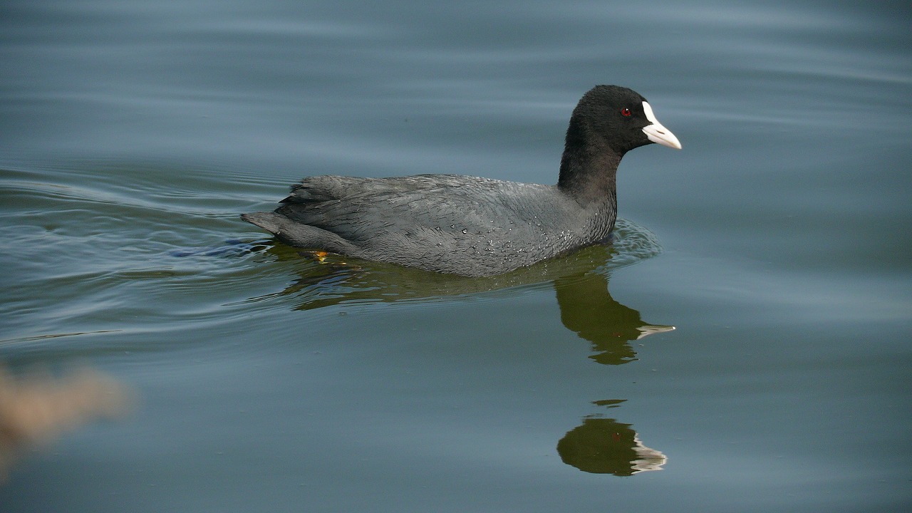 a0185081_12172348.jpg