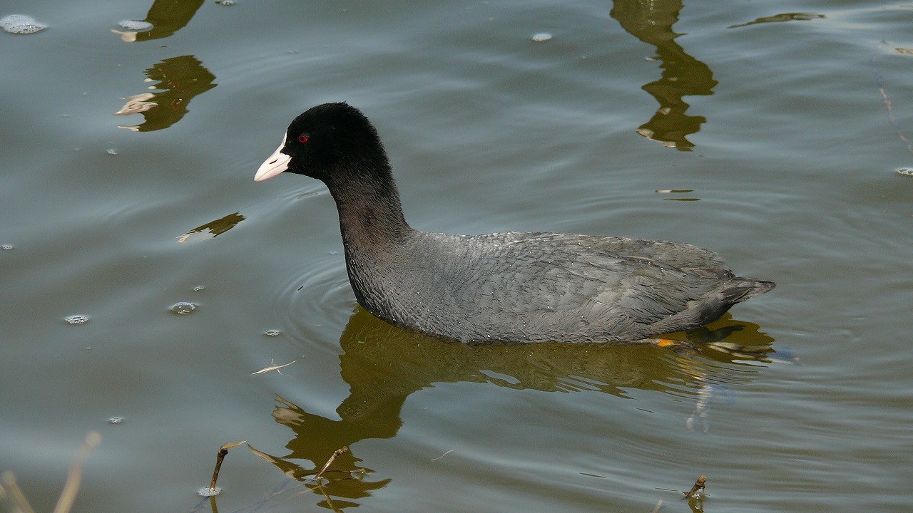 a0185081_12174030.jpg