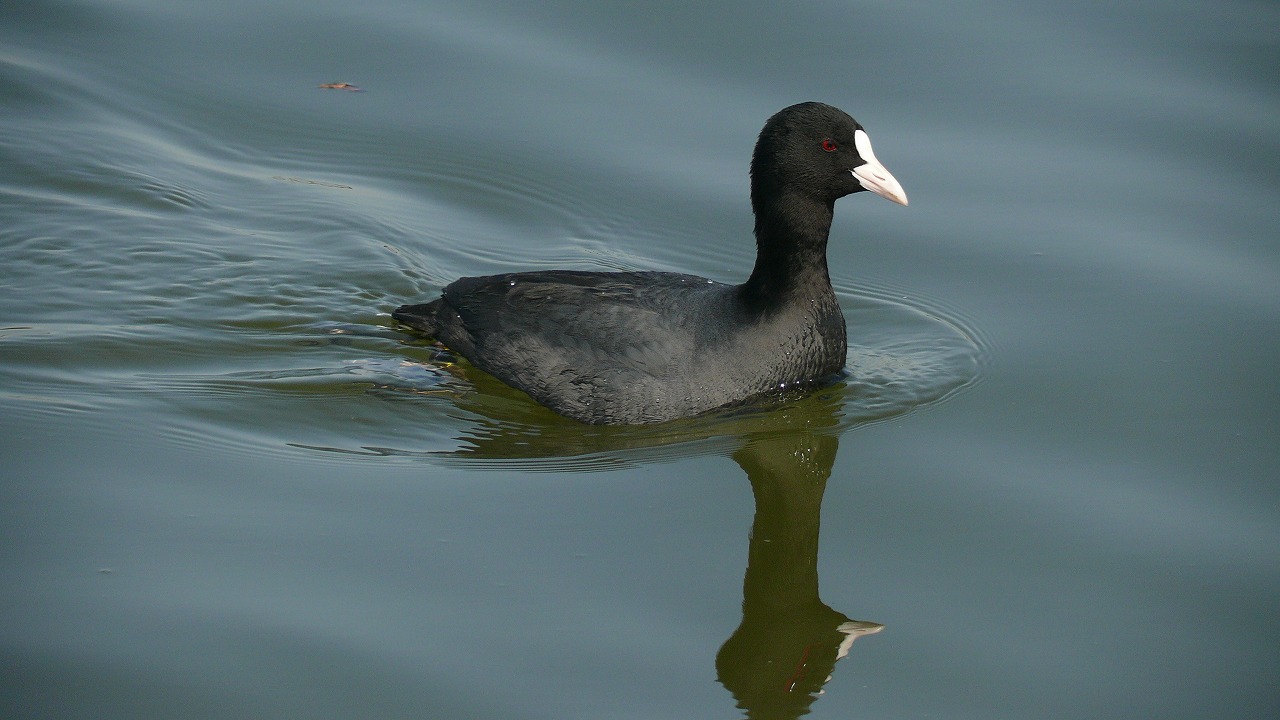 a0185081_12175775.jpg