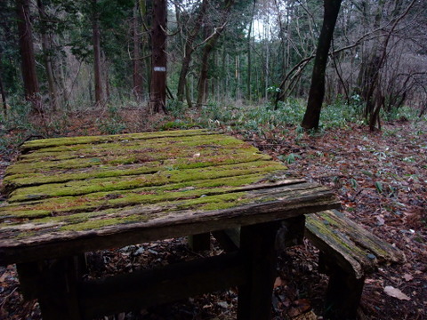a0043982_19124272.jpg