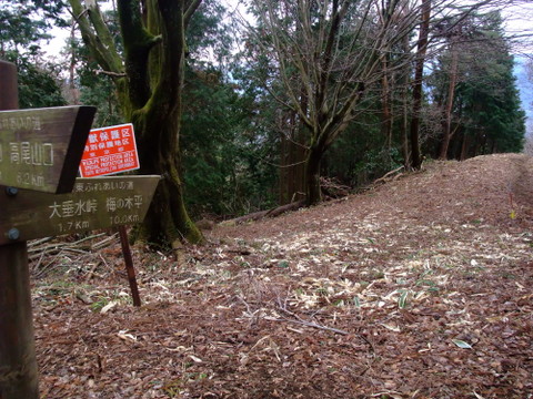 a0043982_19133911.jpg