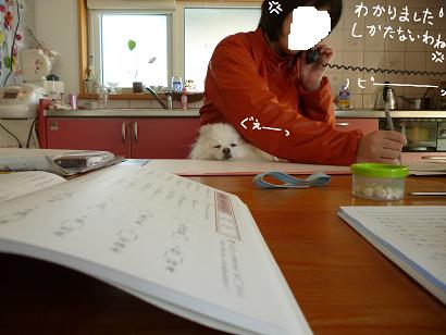 d0129083_12242664.jpg