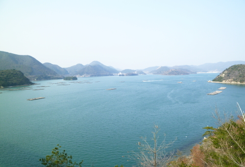 d0179983_20293143.jpg