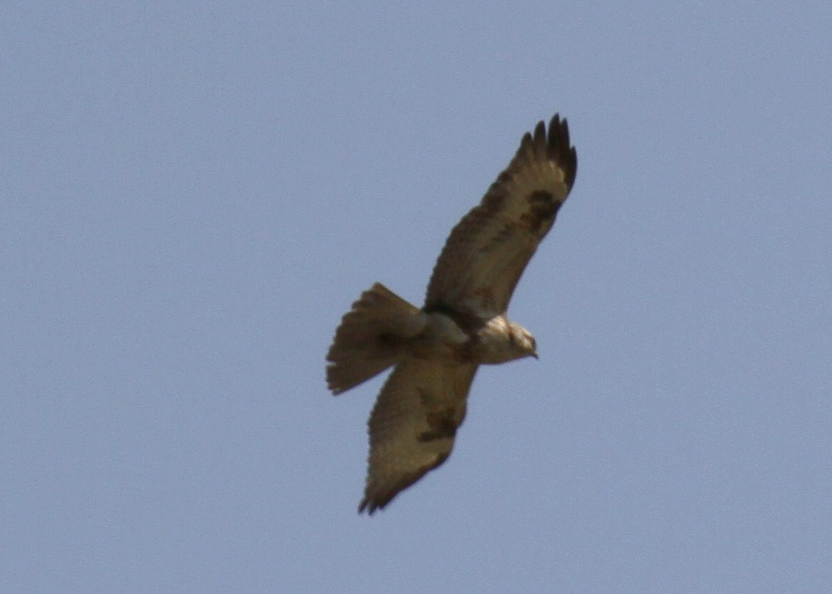e0197884_21224646.jpg